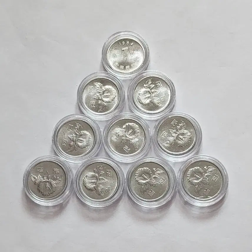 [BUNJANG] 1984 10 Won Coin Bundle Set / (특년도)1984년 10원 주화               10개 일괄