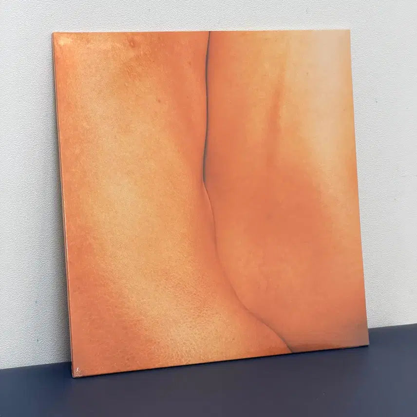 [BUNJANG] Sunset Rollercoaster Quit Quietly Clear Vinyl LP / [LP] 선셋 롤러코스터 Quit Quietly 투명반