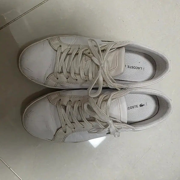 [BUNJANG] Lacoste White Canvas Sneakers / 라코스테 신발