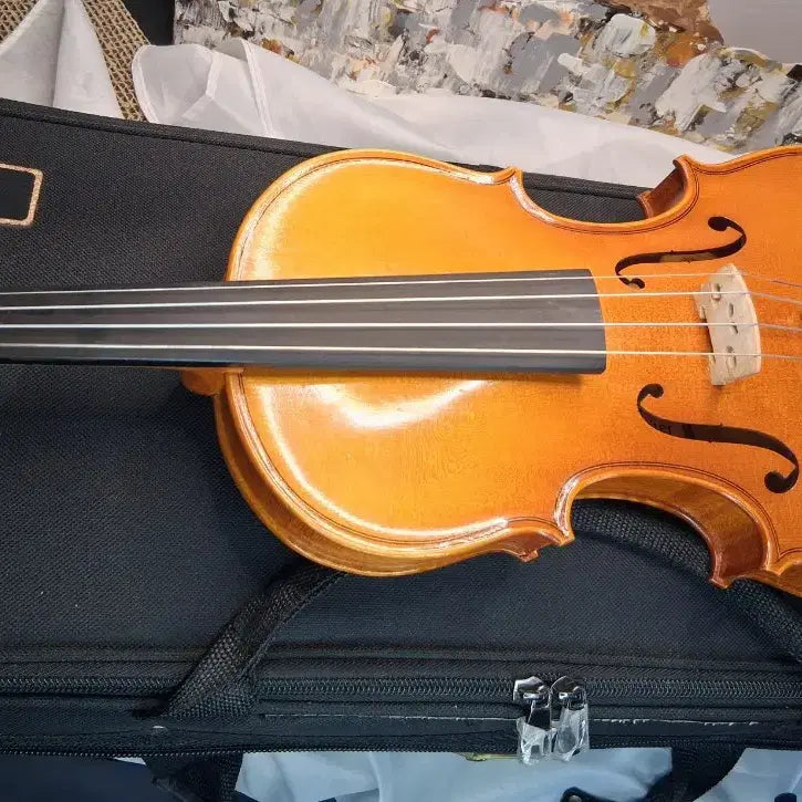 [BUNJANG] Shimro Master Violin 1/2 Full Set / 심로 마스터 바이올린 1/2 풀세트