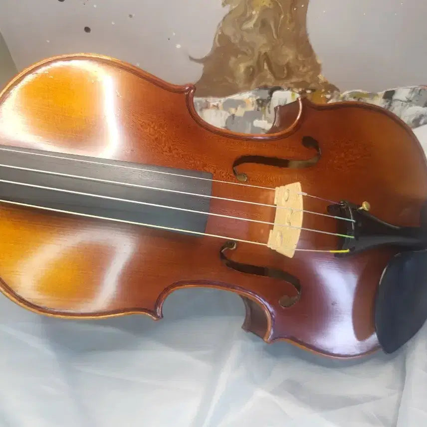 [BUNJANG] Sasapia 4/4 Violin Full Set (Unused Accessories) / sasapia 바이올린  4/4 풀세트 (구성품 미사용