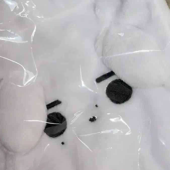 [BUNJANG] ENHYPEN Sunghoon Hoodaengi Pouch / 엔하이픈 성훈 인형 훈댕이 파우치 원가 양도