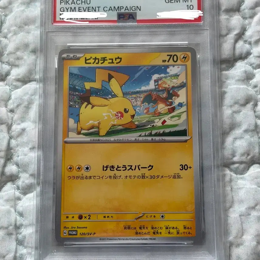 [BUNJANG] 2023 Pokemon Card Pikachu Gym Event Campaign PSA 10 / PSA10 2023 포켓몬 카드 피카츄 짐 이벤트 캠페인