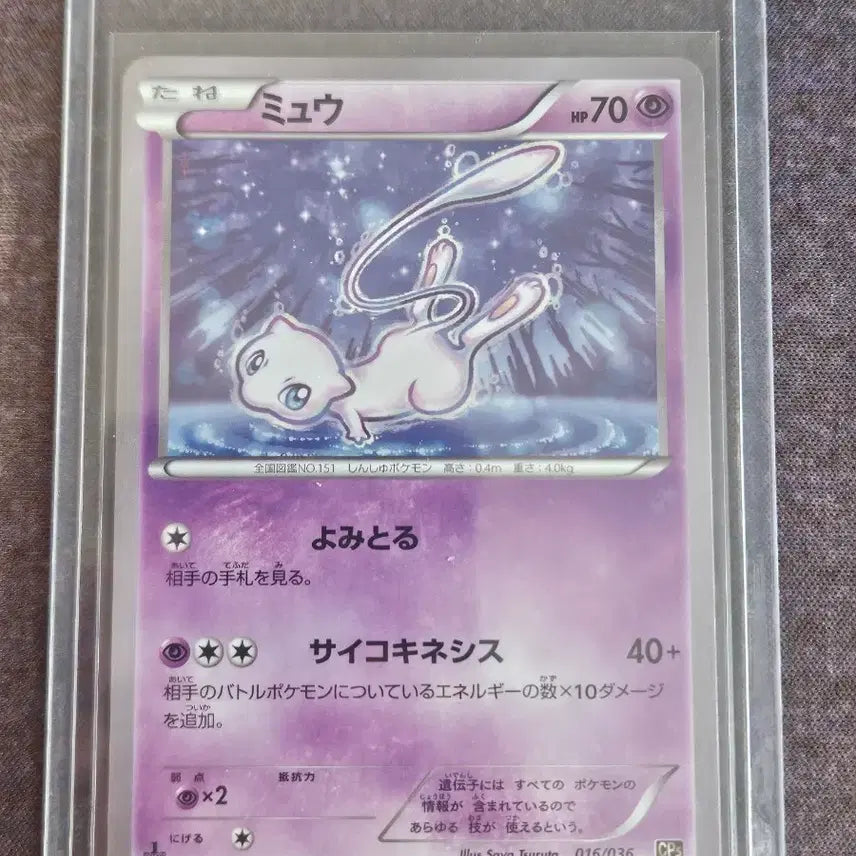 [BUNJANG] Rare Japanese Trading Card / 뮤 일판 희귀카드 싸게 팔아요!