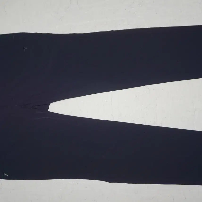 [BUNJANG] Trackstar Trekking Pants (Size 38) / (38사이즈) 트랙스타 등산바지