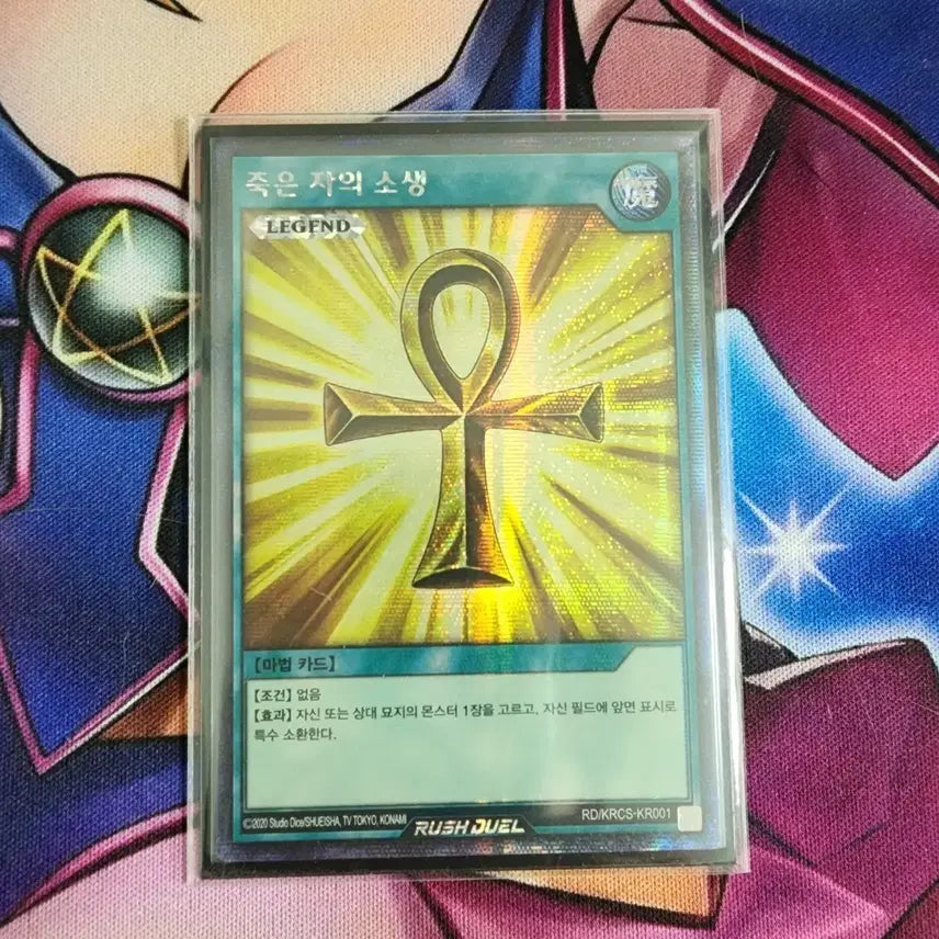 [BUNJANG] Rush Duel Card 'Revival of the Dead' Gold Secret Rare / 러시듀얼 죽은 자의 소생 골드 시크릿레어 팝니다~