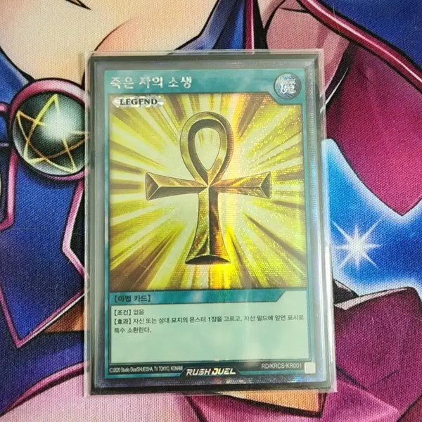 [BUNJANG] Rush Duel Card 'Revival of the Dead' Gold Secret Rare / 러시듀얼 죽은 자의 소생 골드 시크릿레어 팝니다~