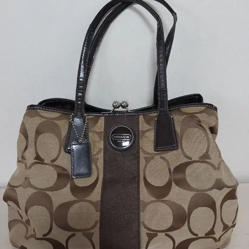 [BUNJANG] COACH Canvas Tote Bag / 코치(COACH) 캔버스 토트백