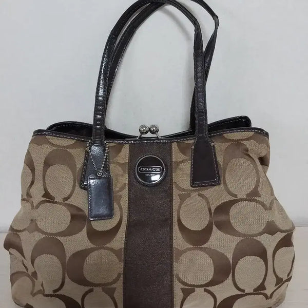 [BUNJANG] COACH Canvas Tote Bag / 코치(COACH) 캔버스 토트백