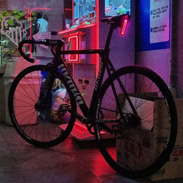 [BUNJANG] Unknown "Base3" Full Carbon Fork Bicycle Frame / 언노운 베이스3 픽시 자전거 프레임 판/교