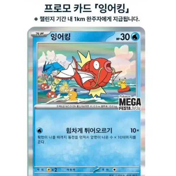 [BUNJANG] Gyarados Promo Card / 잉어킹 프로모카드