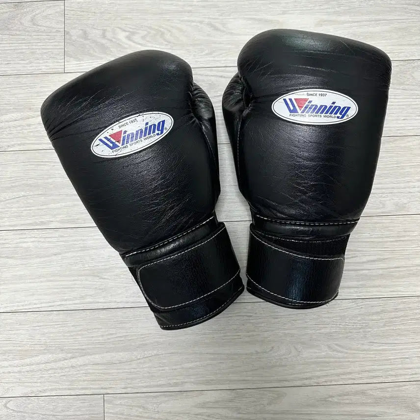 [BUNJANG] Winning Boxing Gloves 14oz / 위닝 글러브 14온스 팔아요