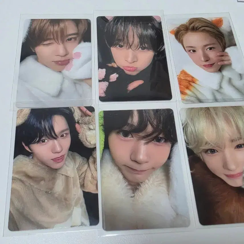 [BUNJANG] NCT WISH Melon Animal Photocard Bundle Set / 엔시티위시 멜론 동물포카 퍼리포카 일괄양도 nct wish