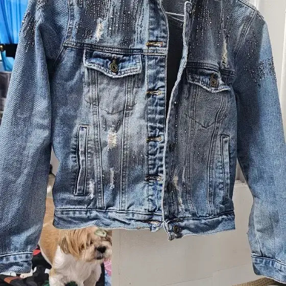 [BUNJANG] Women's Distressed Denim Jacket - Blue Wash / 청바지 자켓 여성 찢청 데미지 워싱 진청