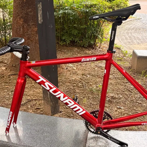 [BUNJANG] Tsunami SNM100 Track Bike - Size S / 쓰나미 snm100 반차 판/대 네고 가능