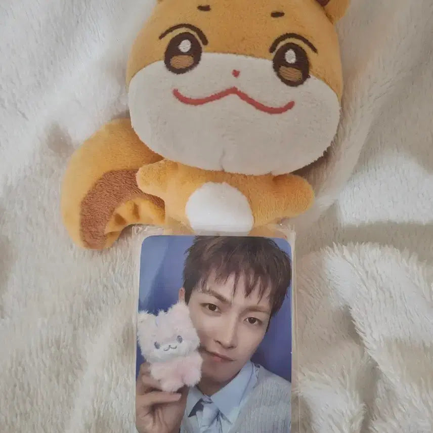[BUNJANG] ATEEZ Hongjoong 'Chwalami' Doll & Color Mix Tiny Photocard Set / 에이티즈 홍중 인형 포카