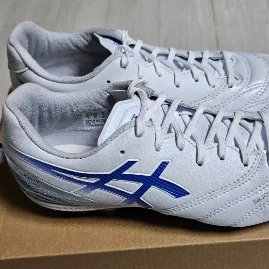[BUNJANG] Asics DS Light AG 4th Gen Soccer Cleats (Silky Lab) 245mm / 아식스 ds light ag 4세대 (실키랩) 245mm