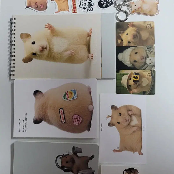 [BUNJANG] Kim Hamzzi 2026 Vanilla Season's Greetings Set / 김햄찌 26 바닐라 시즌그리팅 세트