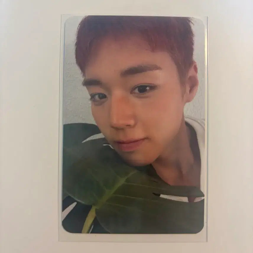 [BUNJANG] Park Jihoon Music Bank Live Recording Photocard / 박지훈 리플렉트 뮤뱅 공방 포카 양도