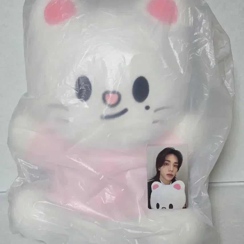 [BUNJANG] SKZOO Leebit Hug Me Doll and Photocard Set / 스키주 지니렛 허그미