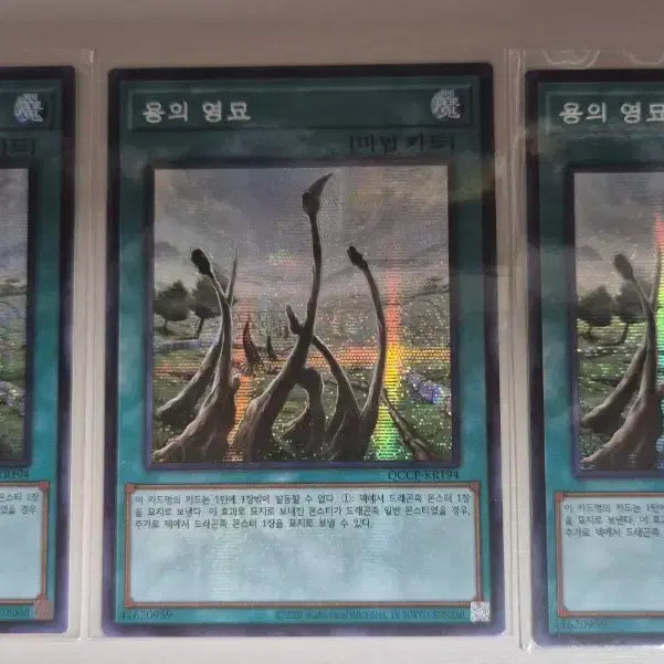 [BUNJANG] Dragon's Mausoleum Secret Set / 용의 영묘 시크릿셋