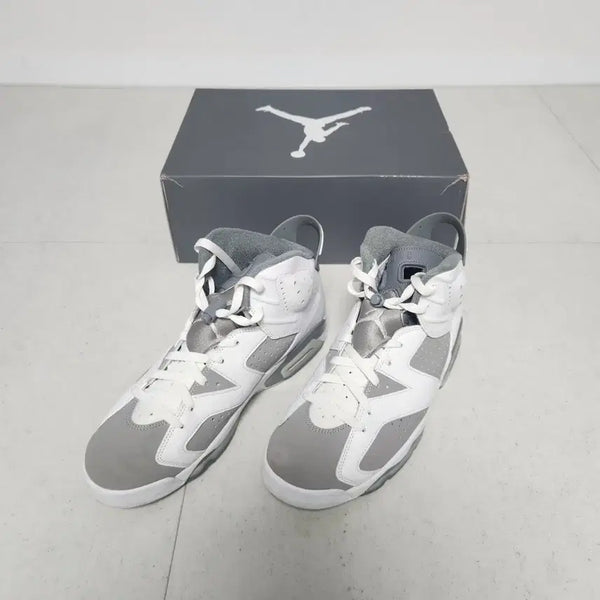 [BUNJANG] Nike Air Jordan 6 Retro Cool Grey / 나이키 에어 조던6 레트로(쿨그레이 290)