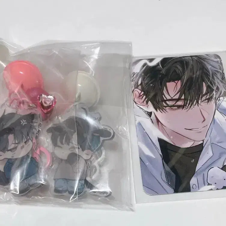 [BUNJANG] Omniscient Reader's Viewpoint Web Novel "Bogeo" Acrylic Keyring + Photocard / 전독시 비공굿 복어님 아크릴키링 + 포카