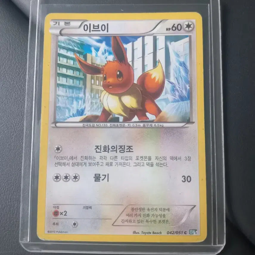 [BUNJANG] EV BW 2013 Pokemon Card / 이브이 BW 2013 포켓몬카드