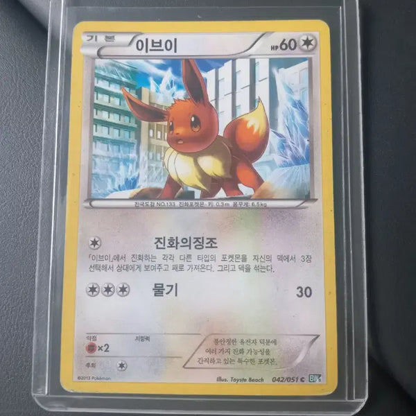 [BUNJANG] EV BW 2013 Pokemon Card / 이브이 BW 2013 포켓몬카드