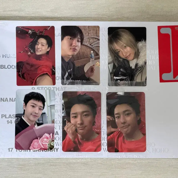 [BUNJANG] WOODZ Cho Seung Youn Archive 1 Bundle Set POB Photocard / 일괄 WOODZ 우즈 조승연 아카이브원 미공포 특전 포카 포토카드