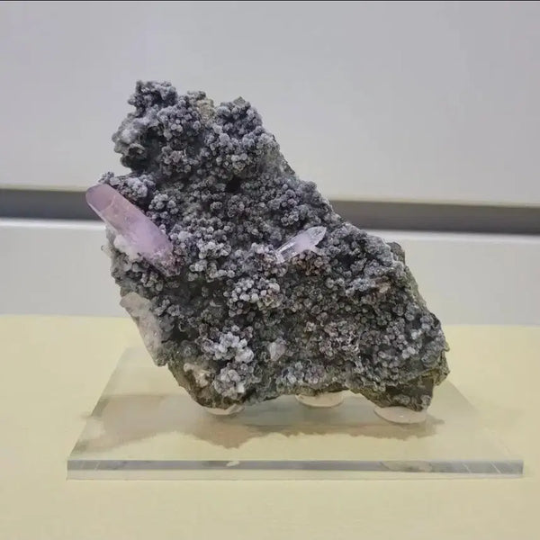 [BUNJANG] Amethyst & Grape Chalcedony Symbiotic Specimen / 자수정 & 포도마노 희귀 공생 표본