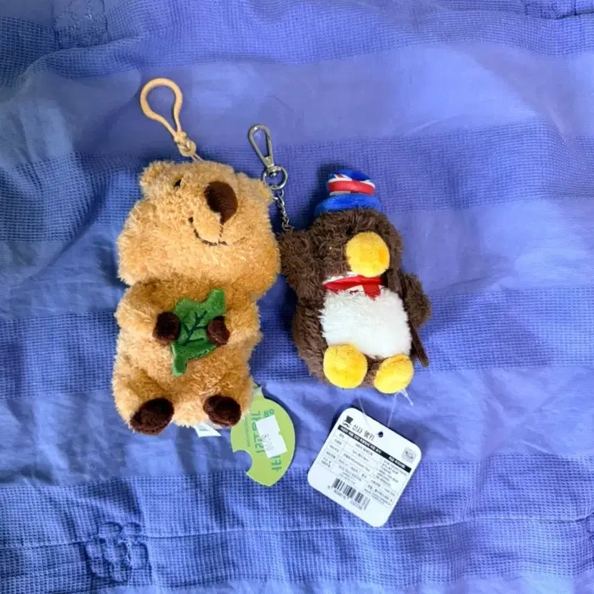 [BUNJANG] Quokka and Penguin Plush Keychains Set / 쿼카/펭귄 인형 키링