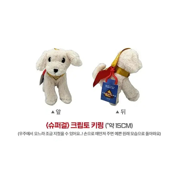 [BUNJANG] Supergirl Crypto Keychain Movie Merchandise Special Benefit / 슈퍼걸 크립토 키링 영화 굿즈 특전
