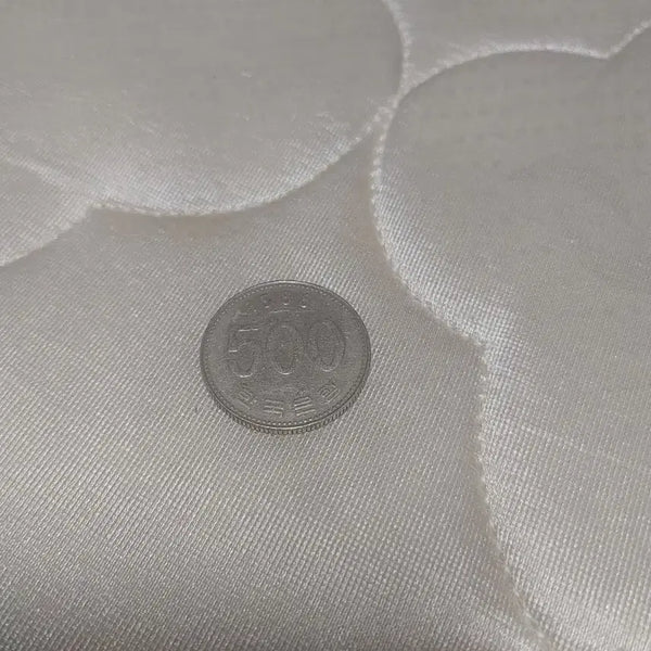 [BUNJANG] 500 Won Coin / 500원 동전