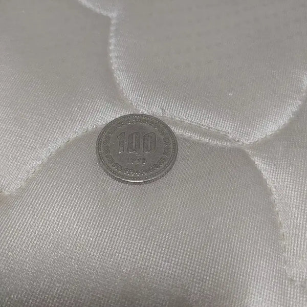 [BUNJANG] 1978 100 Won Coin / 100원 동전 1978년
