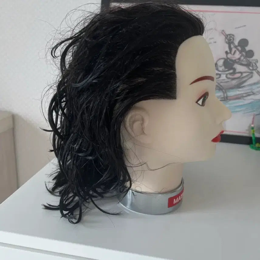 [BUNJANG] Full Wig Hair Cut & Perm / 미용 헤어 커트, 펌 통가발