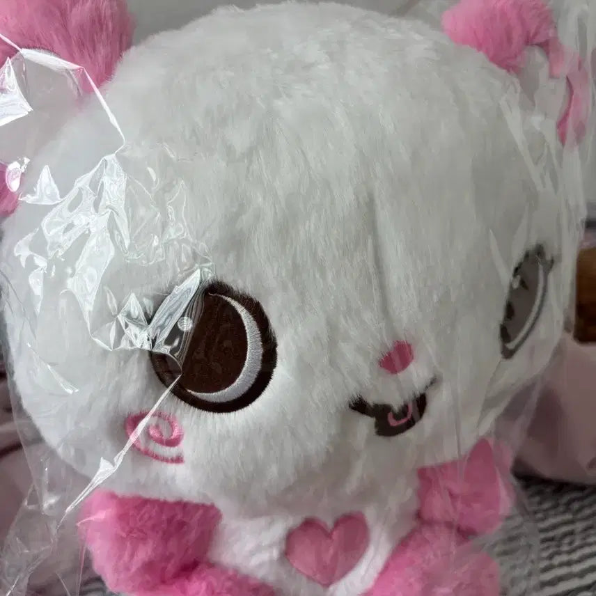 [BUNJANG] Pangyi Wishdoll 30cm Doll / 팡이 위시돌 30cm 포카 포함(시온, 사쿠야, 료, 유우시)