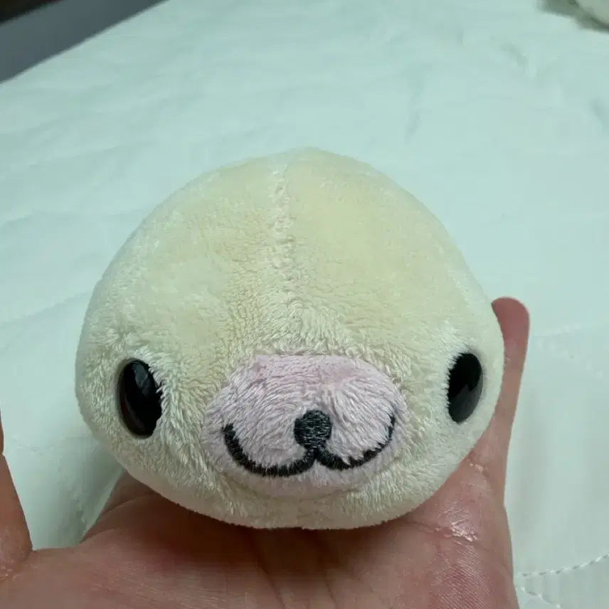 [BUNJANG] Mamegoma Ichigoma Plush Doll / 마메고마 이치고마 봉제인형
