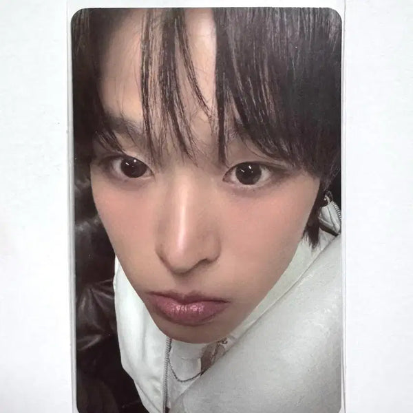 [BUNJANG] NCT WISH Wishnini Kurinini Cushion Riku Photocard / 엔시티위시 위시니니 쿠리니니 쿠션 리쿠 포카