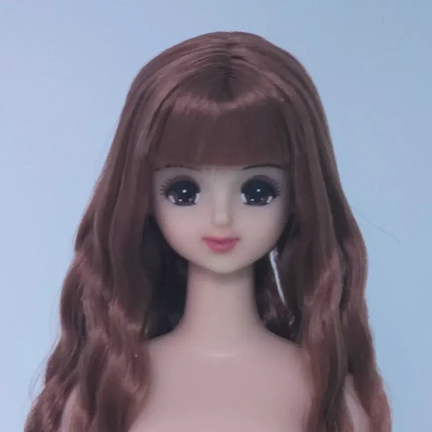 [BUNJANG] Rica Castle New Jennie Doll / 리카캐슬 뉴제니 인형 제니인형