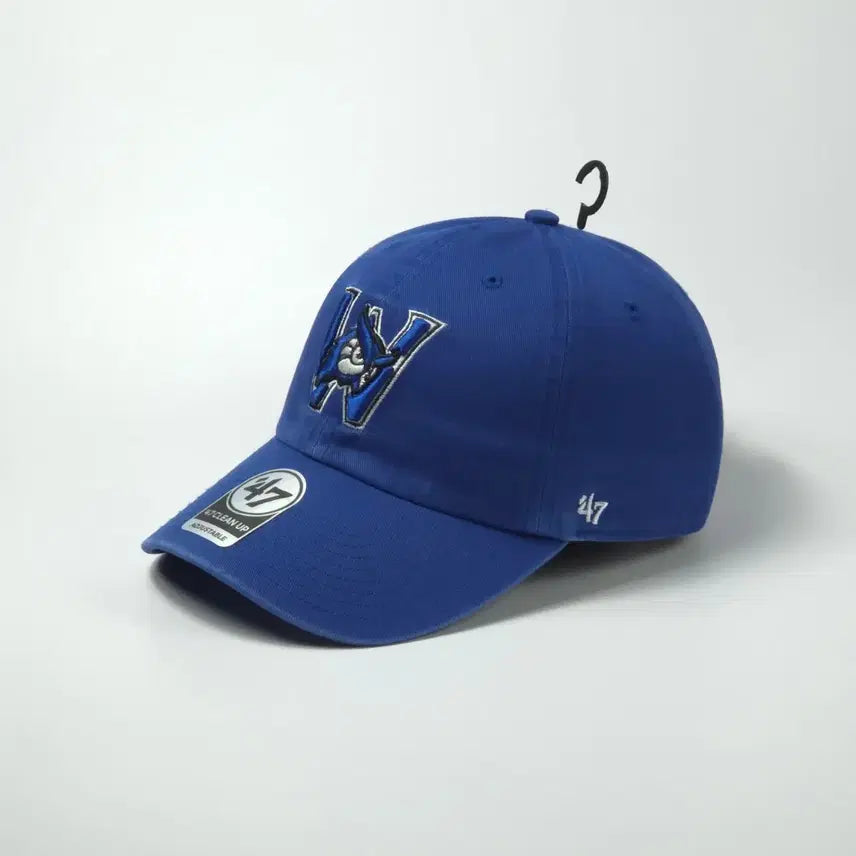 [BUNJANG] Westfield State Owls NCAA Ball Cap Hat / 47 NCAA 웨스트필드스테이트 아울스 볼캡 모자