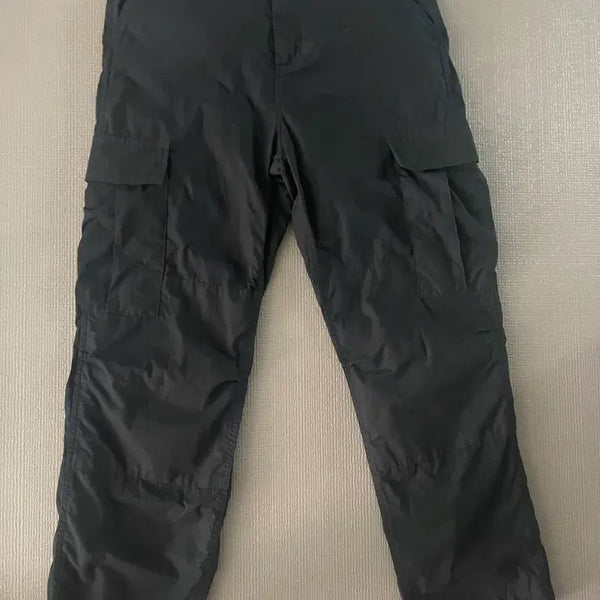 [BUNJANG] Carhartt Cargo Pants 33 Inch / 칼하트 카고바지 33인치