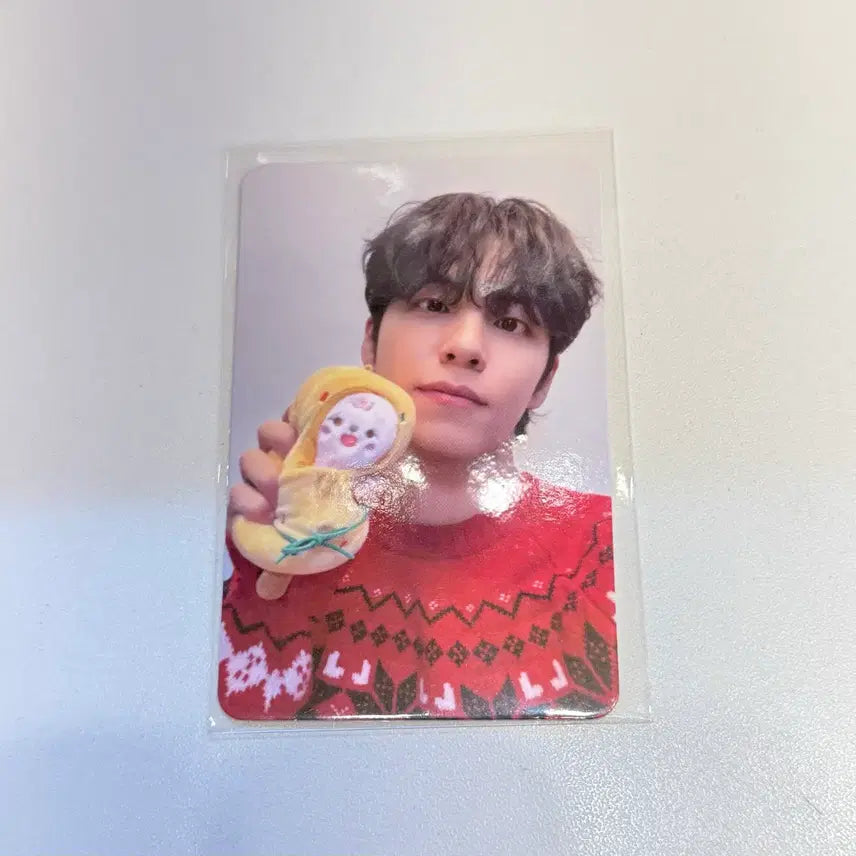 [BUNJANG] Day6 Nationwide Tour Busan Offline Wonpil Photocard / 데이식스 전국투어 부산 오프라인 원필 포카