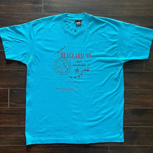 [BUNJANG] US Vintage Single Stitch 1993 Heavy Snow Motif T-Shirt XL / [XL] 미국 빈티지 싱글스티치 93년도 대폭설 모티브 티셔츠