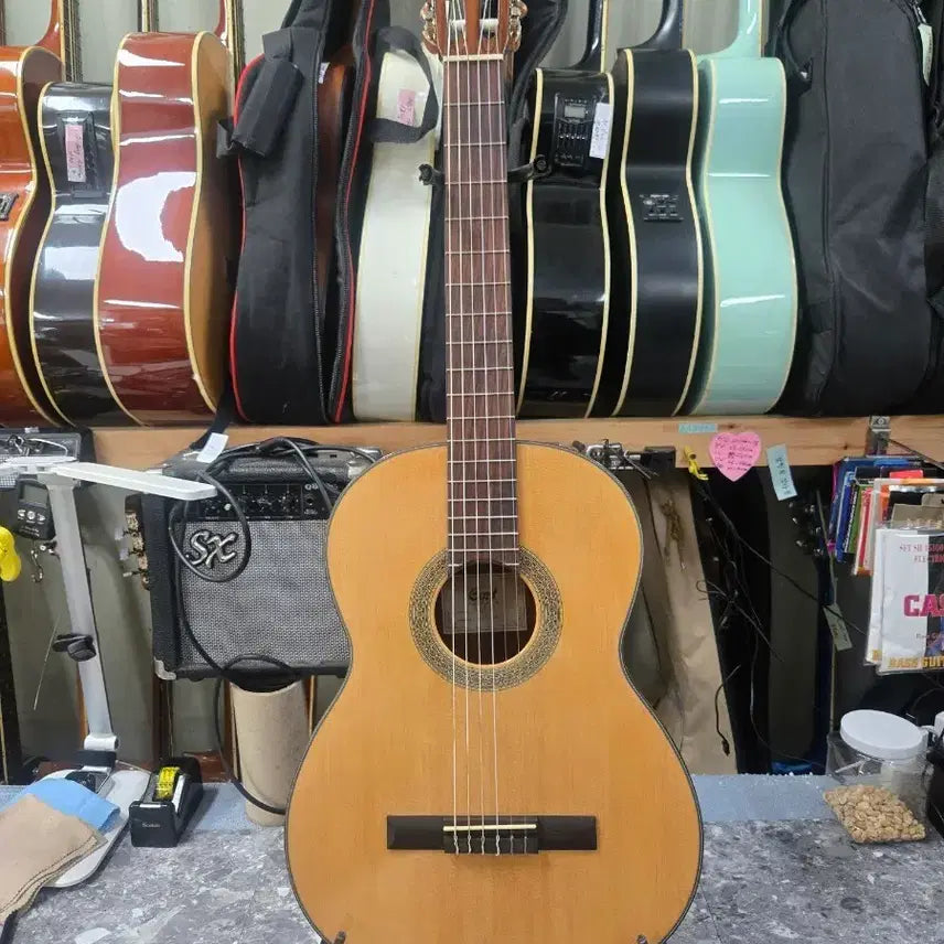 [BUNJANG] Cort AC12 Acoustic Guitar (Solid Top) / 콜트 클래식 기타 Cort AC12 탑솔리드