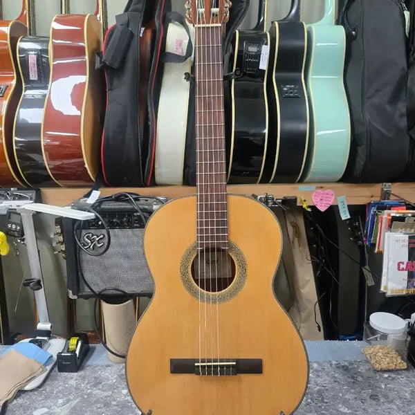 [BUNJANG] Cort AC12 Acoustic Guitar (Solid Top) / 콜트 클래식 기타 Cort AC12 탑솔리드