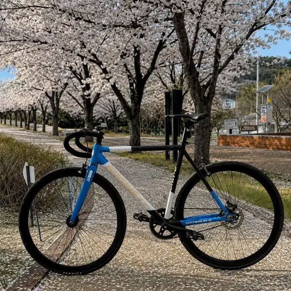 [BUNJANG] Engine 11 Blueskin Frame Set / 엔진11 블루스킨 판/대 (설명 필독!!!!!)