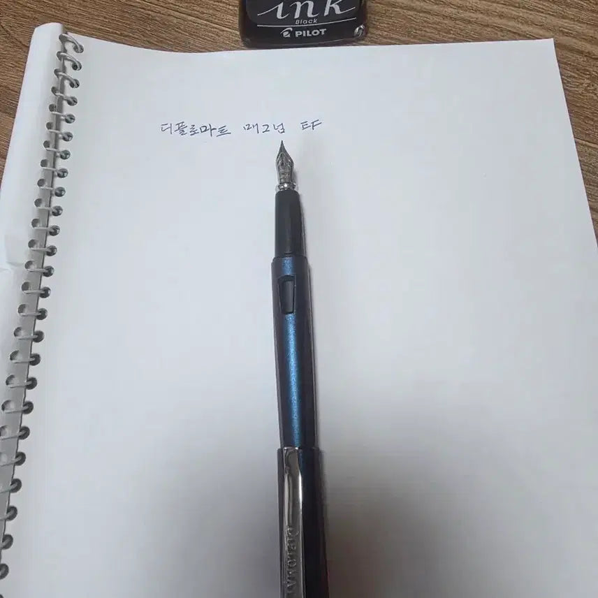 [BUNJANG] Diplomat Magnum Fountain Pen EF Nib / 디플로마트 매그넘 EF 닙 만년필
