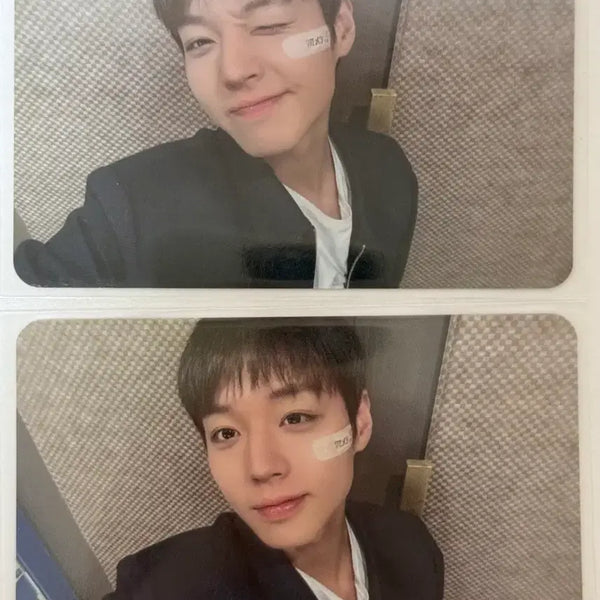 [BUNJANG] Park Ji Hoon RE:FLECT Withmuu Fansign POB Photocard Bundle Set / 박지훈 RE:FLECT 위드뮤 영통팬싸 미공포 포카 일괄양도