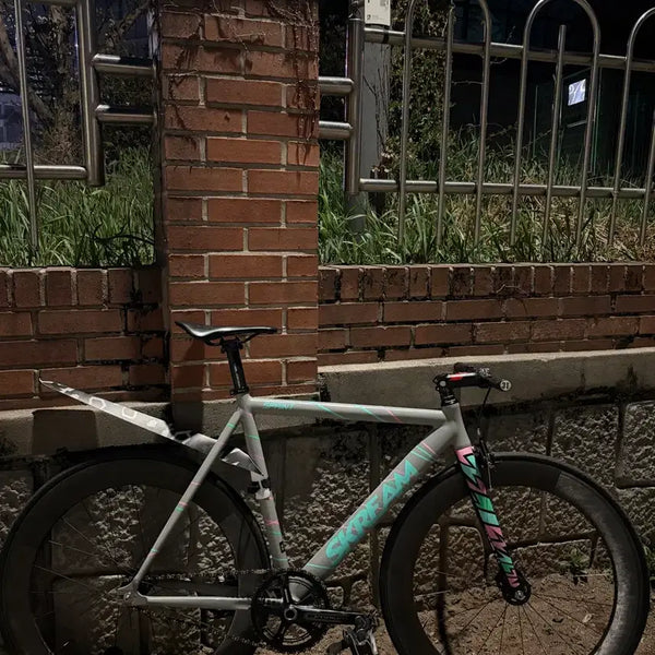 [BUNJANG] Reynolds 66 Track Wheelset / 레이놀즈 66 트랙 휠셋 판매합니다